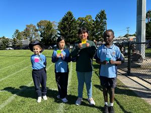img-3357