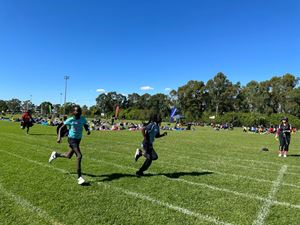 img-3363