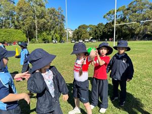 img-3381