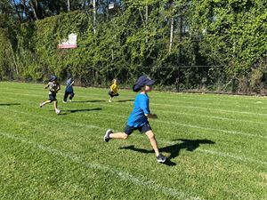img-3398