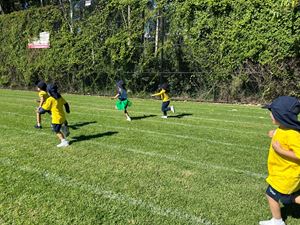 img-3402