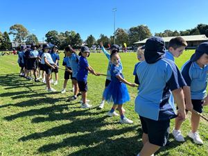 img-3496