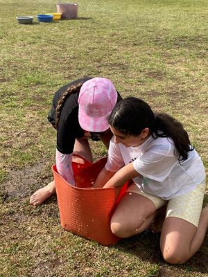 img-1153