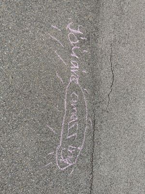 img-2853