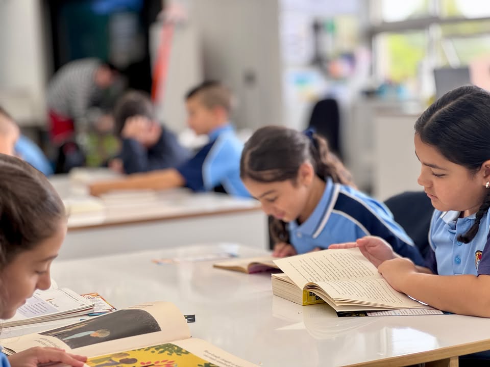 122123346914193578_122280508250193578-1